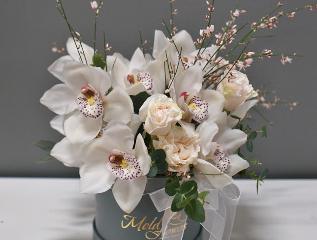 Коробка с белыми орхидеями Фото